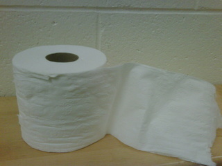 toiletpaper_20101014101551_640_480-10195