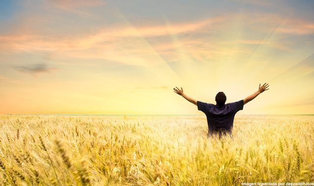 Job Fair takes over DRC in downtown Bakersfield