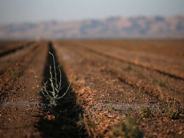 House passes another bill to stem CA drought