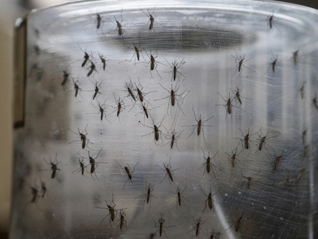 Number of Zika cases in NJ steadily climbing