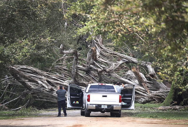 Photos: Hurricane Irma causes destruction in Florida