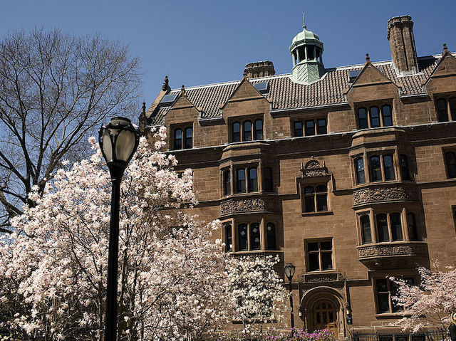 Don't (officially) call them freshmen! Yale to use gender-neutral terms