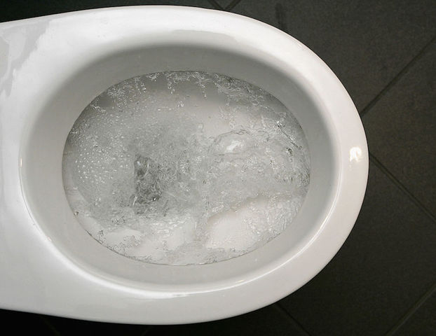 Women flushed $120,000 down three toilets, investigators say