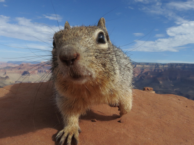 National Park Service proposes $70 entrance fee for 17 popular parks