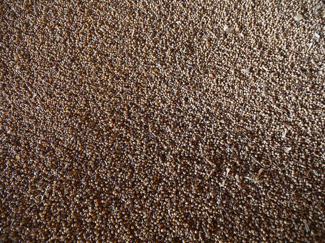 FDA moves to revoke soy health claim