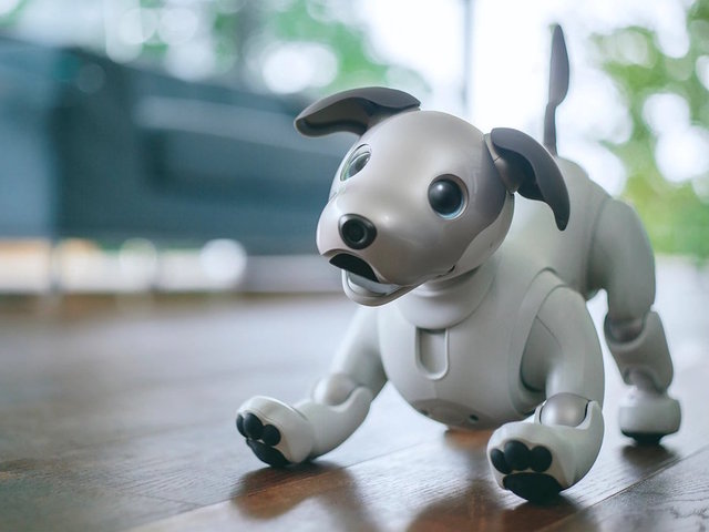 Sony unleashes the cuteness with new robot dog