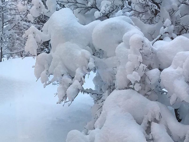 Arctic air brings bone-chilling temperatures to US