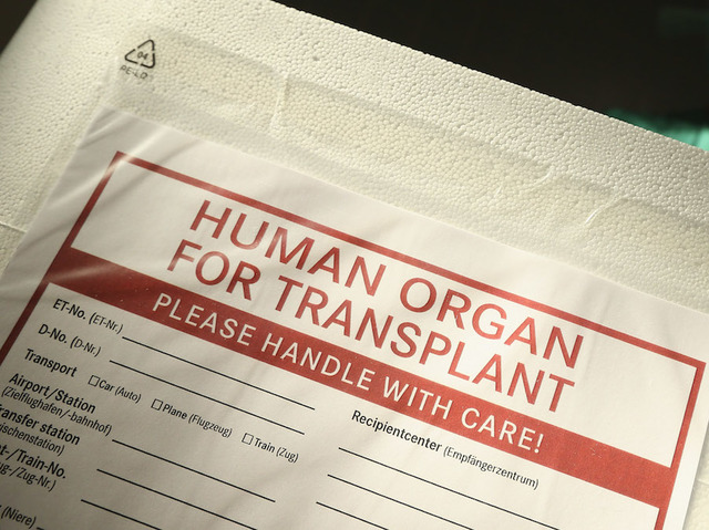 The first successful male genitals transplant has taken place in Maryland