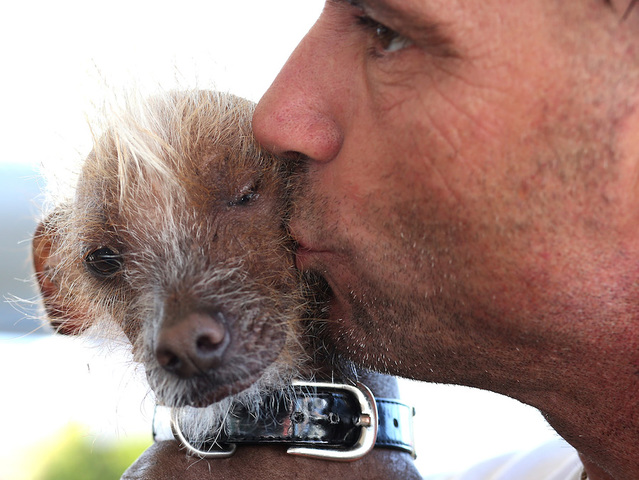 Photos: The World's Ugliest Dog contestants and winners over the years