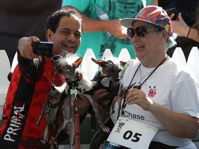 Photos: The World's Ugliest Dog contestants and winners over the years