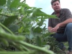 Farmer stays hopeful amid U.S.-China trade war