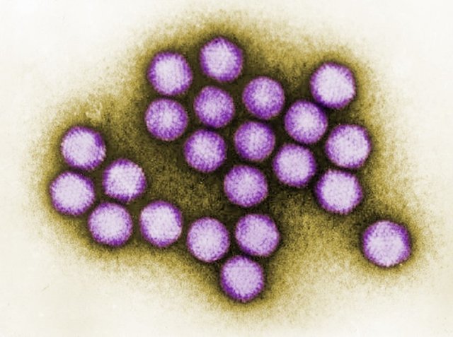 11th child dies in adenovirus outbreak in New Jersey