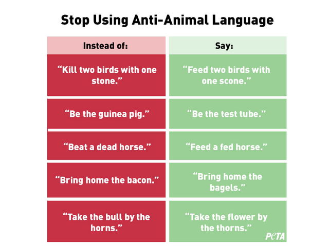 PETA says these phrases are comparable to racism and homophobia